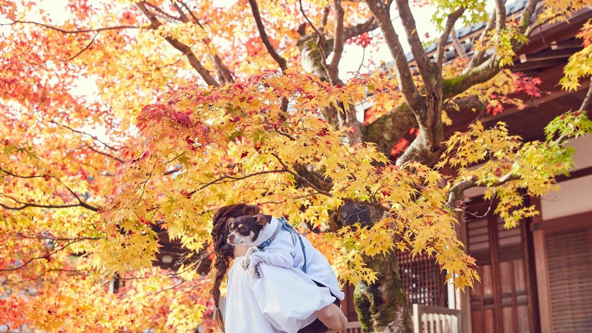 קיוטו Riverside Arashiyama