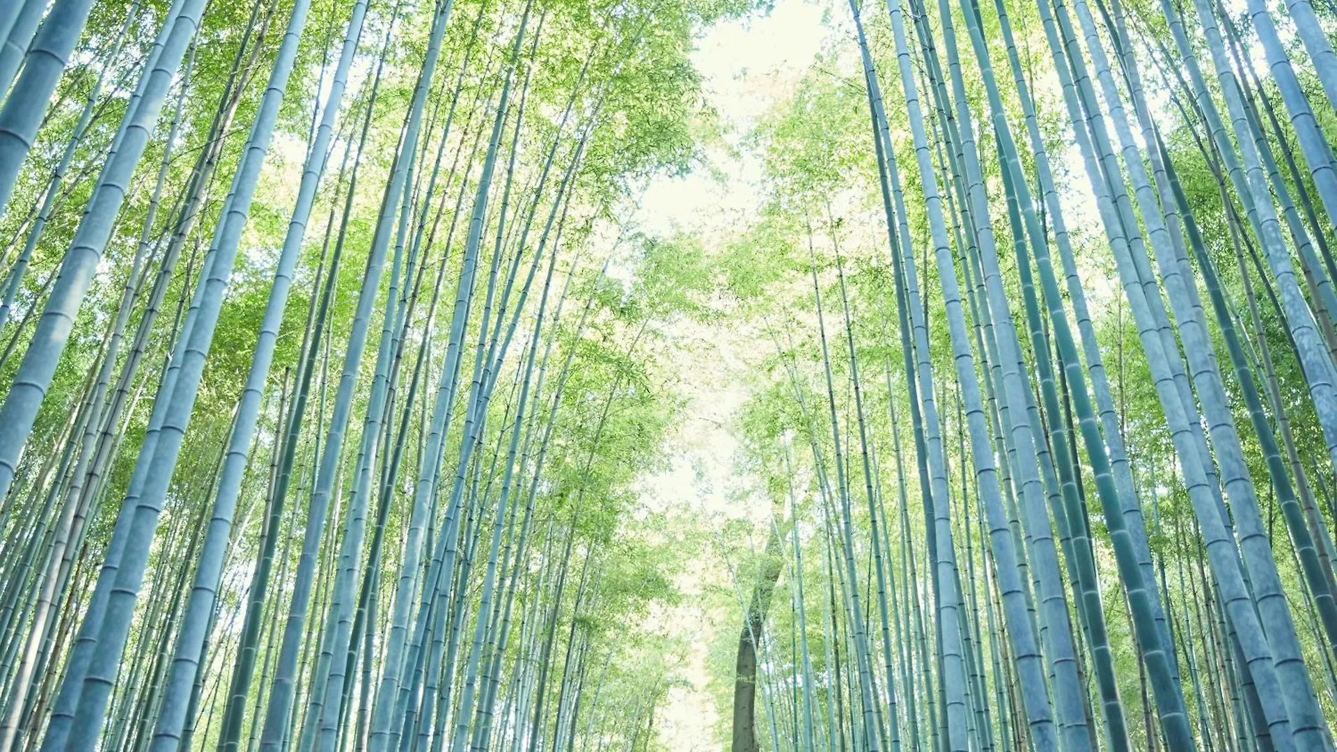Hotel Riverside Arashiyama Kioto